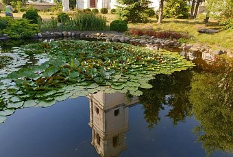 Вдоль Западной Двины