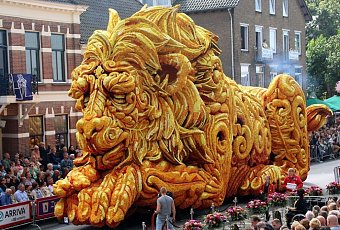 Цветочный парад георгин CORSO ZUNDERT!