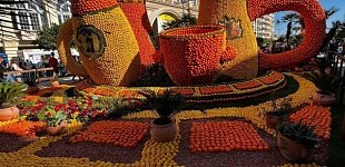 Фото 4