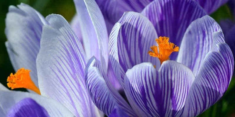 8 марта — время для путешествий: подборка туров и экскурсий от TIO.BY