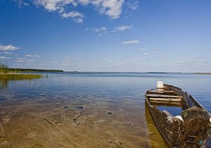 Под звездой Новогрудка