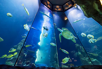 Итальянские каникулы. Авторский тур