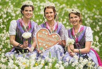 Солнечный нарцисс