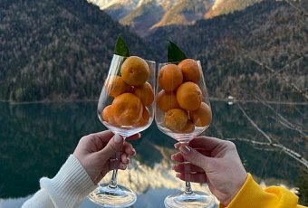 Тур в Абхазию: отдых + оздоровление!