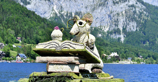 Главное фото