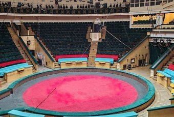 Экскурсия «Закулисье минского цирка»