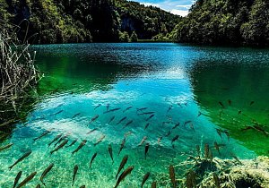 Там, где горы целуют море: пляжный отдых в Хорватии