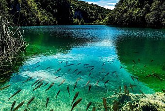 Там, где горы целуют море: пляжный отдых в Хорватии