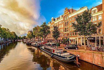 Цветочный Бенилюкс!