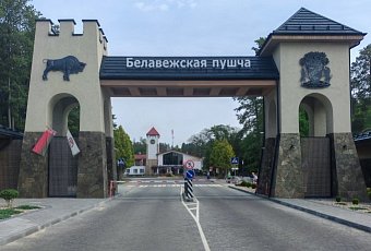 Экскурсия в Беловежскую Пущу из Минска