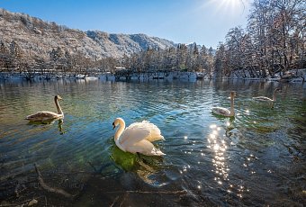 В краю легенд и горных водопадов: Северная Осетия - Алания