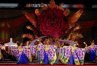 Фестиваль пионов в Лояне