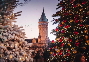 Новогодний Бенилюкс!