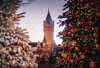 Новогодний Бенилюкс!