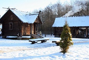 Белорусский Новый год: столица, замки и Беловежская пуща