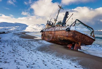 Новый год 2026 в Мурманске! Киты и северное сияние