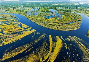 Сокровища Полесья - разлив Припяти!