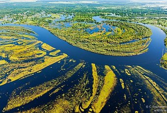 Сокровища Полесья - разлив Припяти!