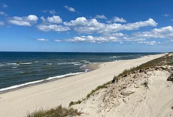 Янтарное кольцо: Круговой маршрут по Калининграду