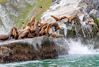 Тур на Камчатку! Путешествие на край земли