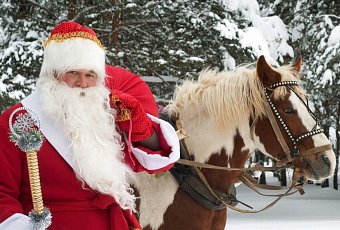 Новогодняя сказка в Березинском заповеднике