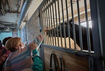 Экскурсия «Закулисье минского цирка»