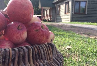 Национальный ужин на усадьбе «Мир пчёл»