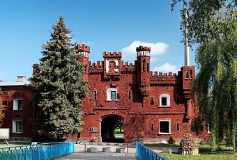 Отдых в Беловежской пуще
