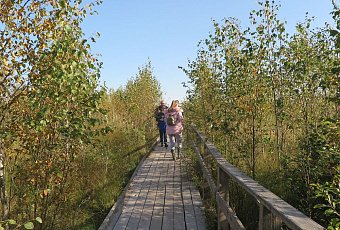 Ландшафтный заказник &amp;quot;Ельня&amp;quot; - экскурсия на болота!