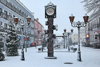 Новый год 2027 в Бресте с посещением Беловежской Пущи