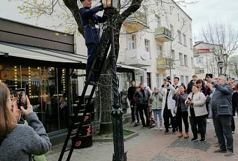 Обзорная экскурсия по Бресту