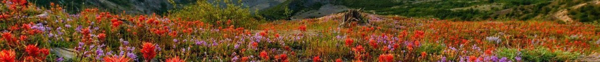 Авиатур на Камчатку! Вылет из Минска