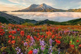 Авиатур на Камчатку! Вылет из Минска