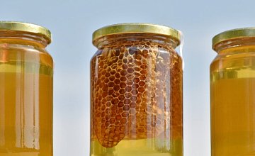Музей меда и пчеловодства открылся в Березинском заповеднике