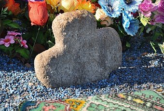 Полесский Калейдоскоп: История, Сыр Bonfesto и Сафари