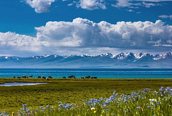 Авиатур в Казахстан+Кыргызстан. Вылет из Минска