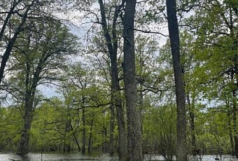 Море Геродота: Туров, покорение моря пешком! 