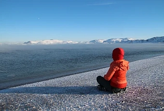 Новый год 2026 в Мурманске! Киты и северное сияние