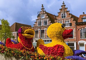 ПАРАД ГЕОРГИН CORSO ZUNDERT. Авторский тур