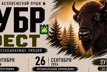 «Зубр-фест» 2026 в Беловежской пуще: два дня музыки, детская программа и забег