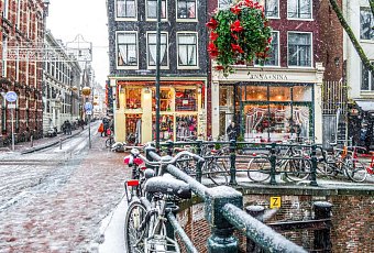 Новогодний Бенилюкс!