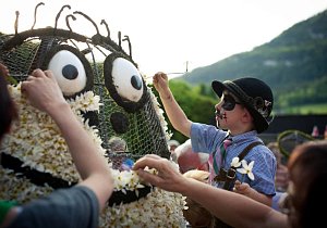 Солнечный нарцисс