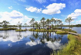 Болото Ельня и водопад на реке Вята
