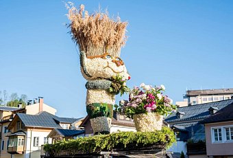 Солнечный нарцисс