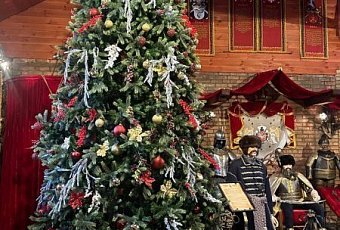 Рождественская сказка в Суле