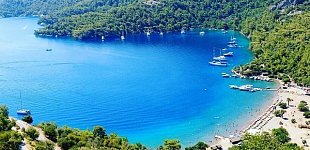 Фото 4