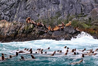 Тур на Камчатку! Путешествие на край земли