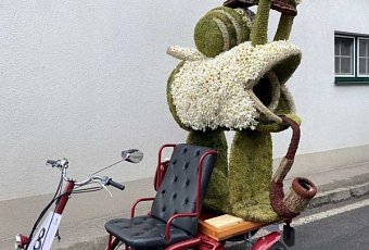 Австро-Венгрия с посещением фестиваля нарциссов — Narzissenfest!