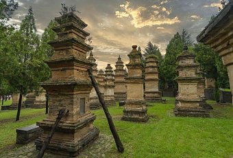 Фестиваль пионов в Лояне