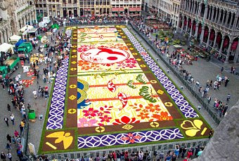 Цветочный ковер и прогулка по Рейну